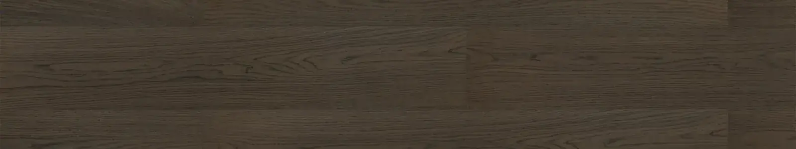 Jangal Terra upside view