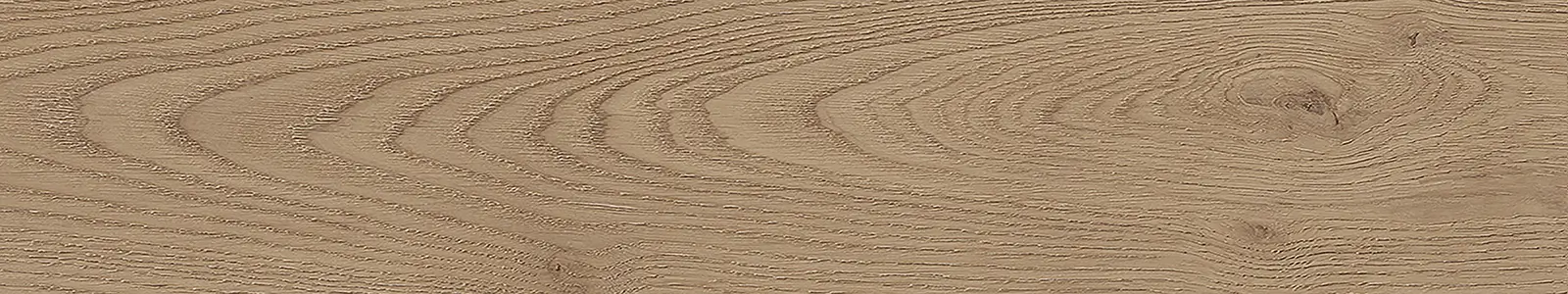 Plank upside view